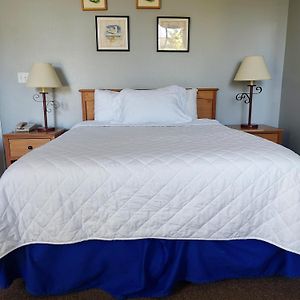 Studio Queen Bed Studio 105